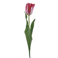 Tulipán (62 cm) TÖBB SZÍNBEN