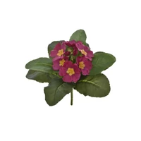 Primula csokor (20 cm) TÖBB SZÍMBEN