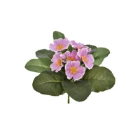 Primula csokor (20 cm) TÖBB SZÍMBEN