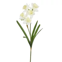 Nárcisz (66 cm) TÖBB SZÍNBEN