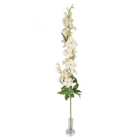 Delphinium (99 cm) TÖBB SZÍNBEN