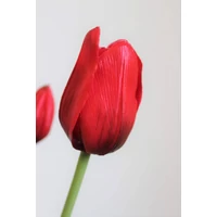 Piros mű tulipán csokor (46 cm)