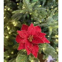 Piros-arany mikulásvirág (24 cm)