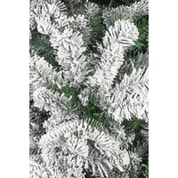 Havas karácsonyfa (210 cm)