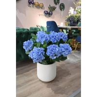 Kék műhortenzia kaspóban (75 cm)