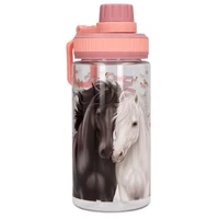 Miss Melody Kulacs BLOSSOM PONY  (BPA mentes)