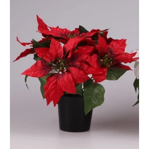 Karácsonyi műnövények •