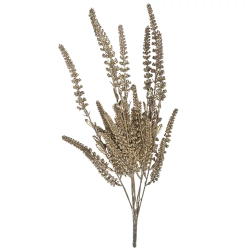 Pezsgőszínű levendula (51 cm)