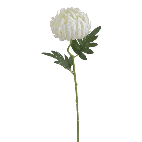 Krizantém - WHITE (50 cm)