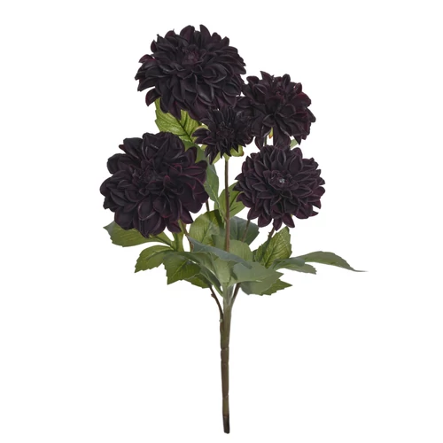 DÁLIA CSOKOR - EGGPLANT (48 cm) 