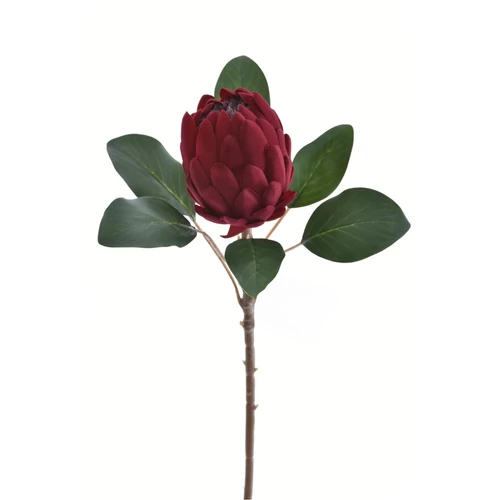Protea - DR RED (66 cm)