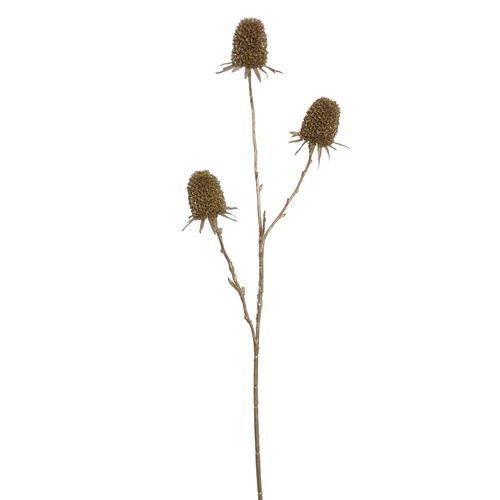 Bogáncs - GOLD (75 cm)