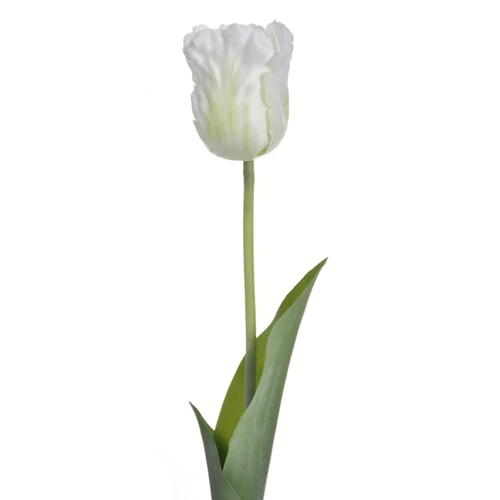 Tulipán - WHITE (50 cm)