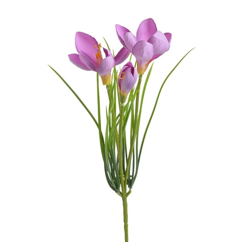 Krókusz (30 cm)