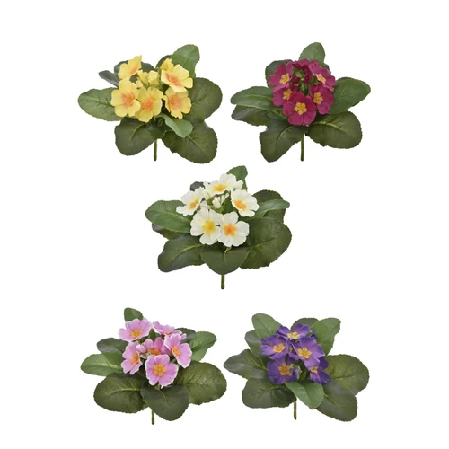 Primula csokor (20 cm) TÖBB SZÍMBEN