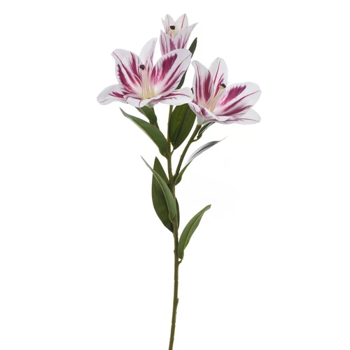 Liliom (76 cm) TÖBB SZÍNBEN