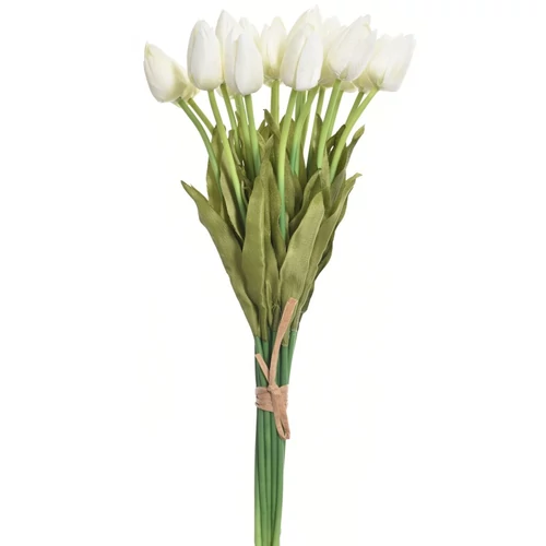 Tulipán köteg - CREAM | 20 szál/köteg (40 cm)