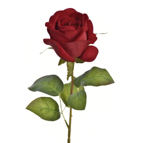 Rózsa - RUBIN (70 cm)