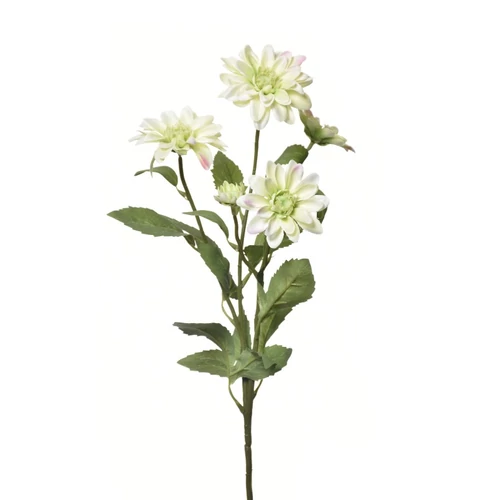 Krizantém - LT GREEN (75 cm)
