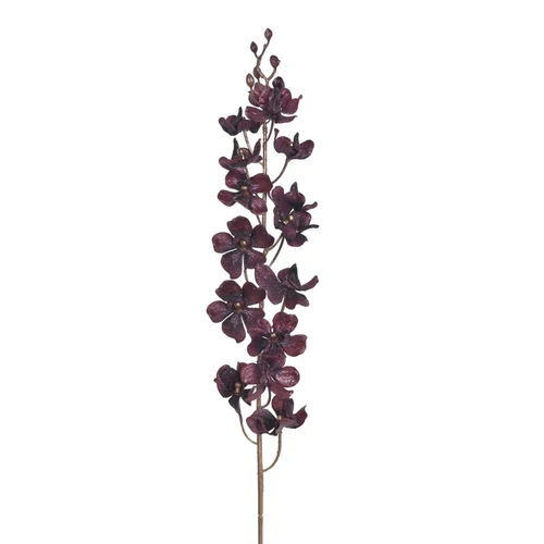 Orchidea - EGGPLANT (86 cm)