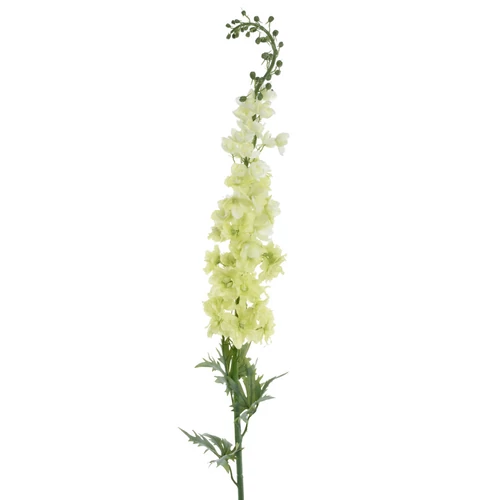 Delfínium - GREEN (133 cm)