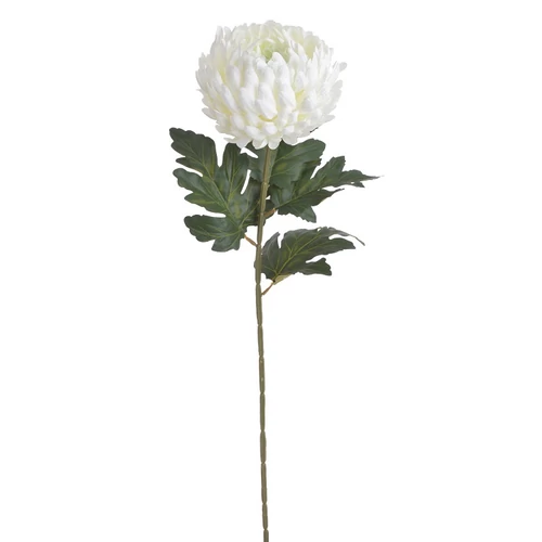 Krizantém (72 cm)