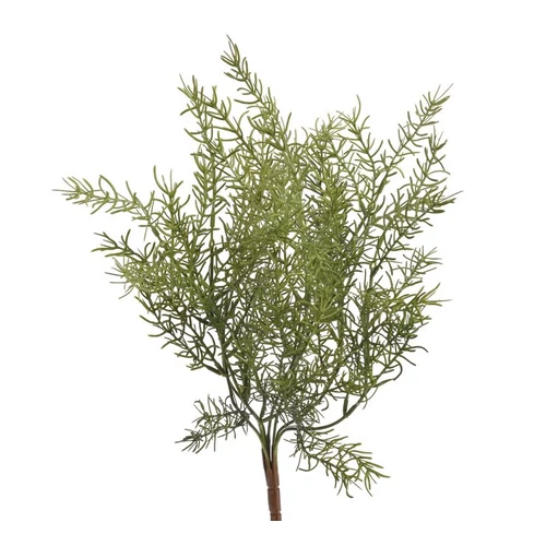 Aszparágusz csokor (43 cm)