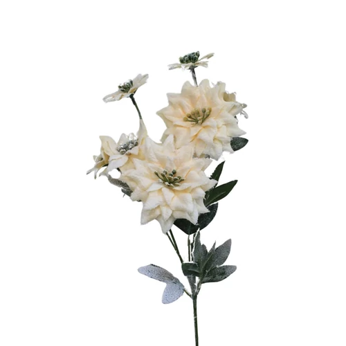 Havas krém színű mikulásvirág száron (70 cm)
