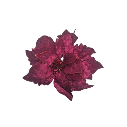 Burgundi mikulásvirág (24 cm)