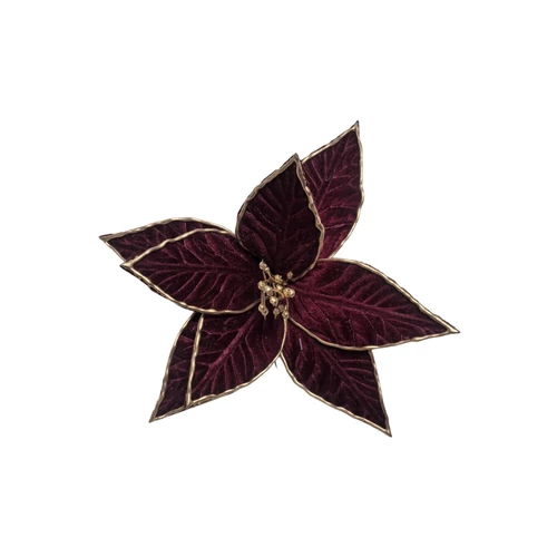 Bordó-arany mikulásvirág (24 cm)