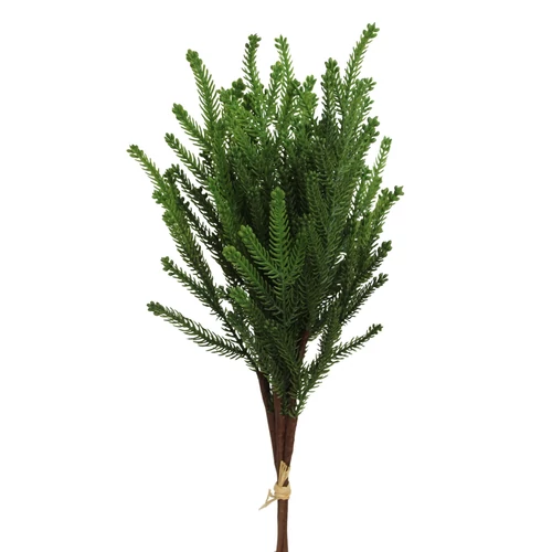 Fenyőág-csokor (50 cm)