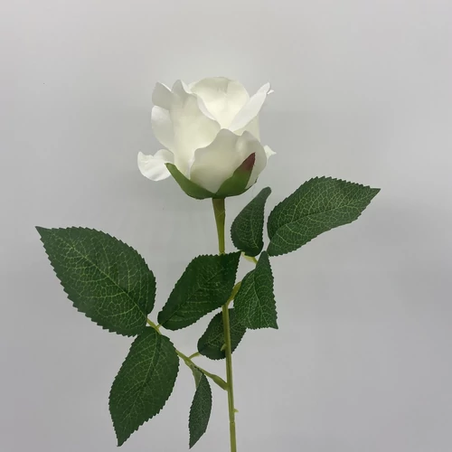 Rózsa  (52 cm)  TÖBB SZÍNBEN