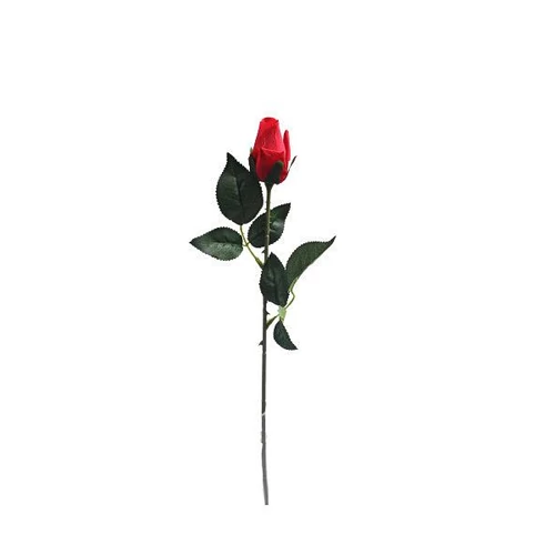 Rózsa (55 cm)