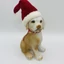 Mikulás sapkás kutya (15 cm) 