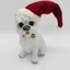 Mikulás sapkás kutya (15 cm) 