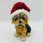 Mikulás sapkás kutya (15 cm) 