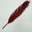 Pálmafa levél – piros (80 cm)