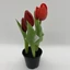 Élethű cserepes gumi tulipán (23 cm) 