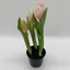 Élethű cserepes gumi tulipán (23 cm) 