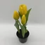 Élethű cserepes gumi tulipán (23 cm) 