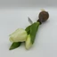 Élethű hagymás gumi tulipán (25 cm) 