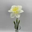 Nárcisz (45 cm) 