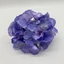 Hortenzia fej - VIOLET (15 cm) 