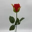 Rózsa (45 cm) 