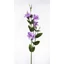 Élethű csodaszép liziantusz - LT VIOET (82 cm) 