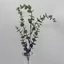 Eukaliptusz ág (57 cm) 