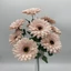 Gerbera csokor (44 cm) 