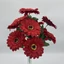 Gerbera csokor (44 cm) 