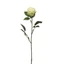 Rózsa - GREEN (70 cm) 