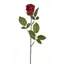 Rózsa - RED GREEN (70 cm) 
